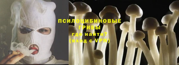 трава Осинники