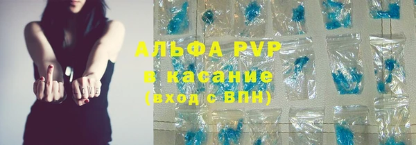 трава Осинники